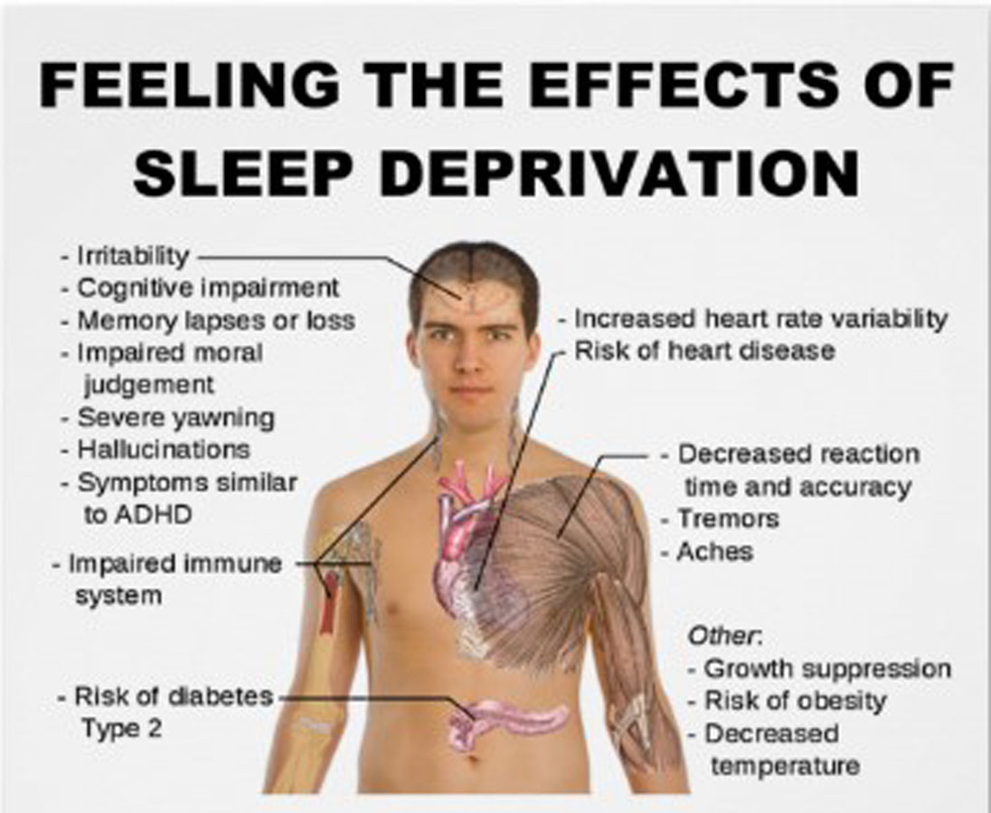 How Does Sleep Affect Weight Loss It's The Martins