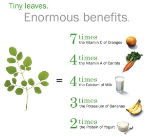 Moringa-diagram